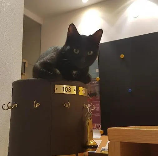 Sonnenhof 3* Мерано